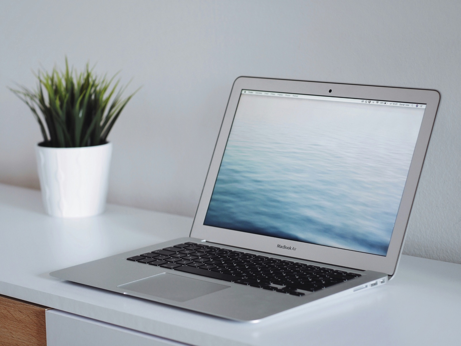 A bright desk with an open laptop and a small green plant