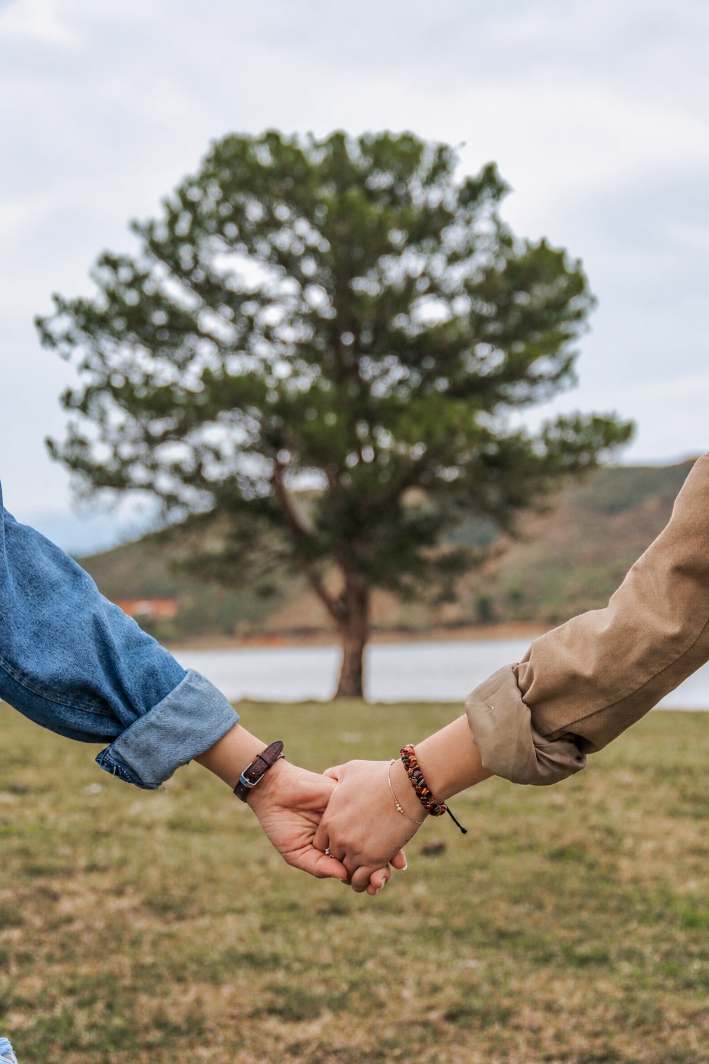 Two people holding hands in front of a tree beside a lake