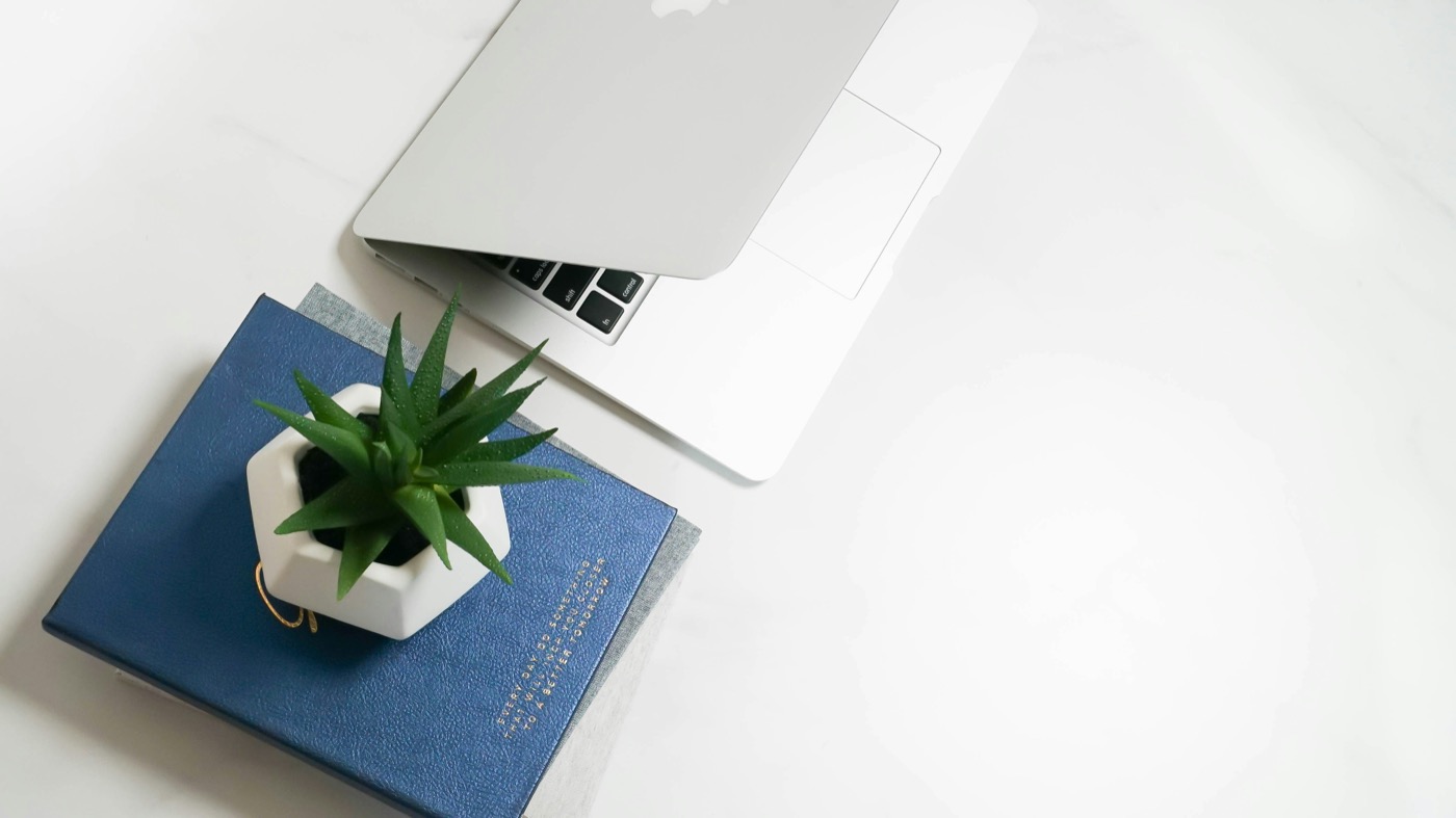 A plant on stacked books beside a laptop